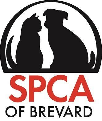 Spca brevard - This group is for SPCA of Brevard adopters. You are welcome to post photo/video updates on your adopted pets as well as ask questions of other members to help you with your pet. Soon, we will add...